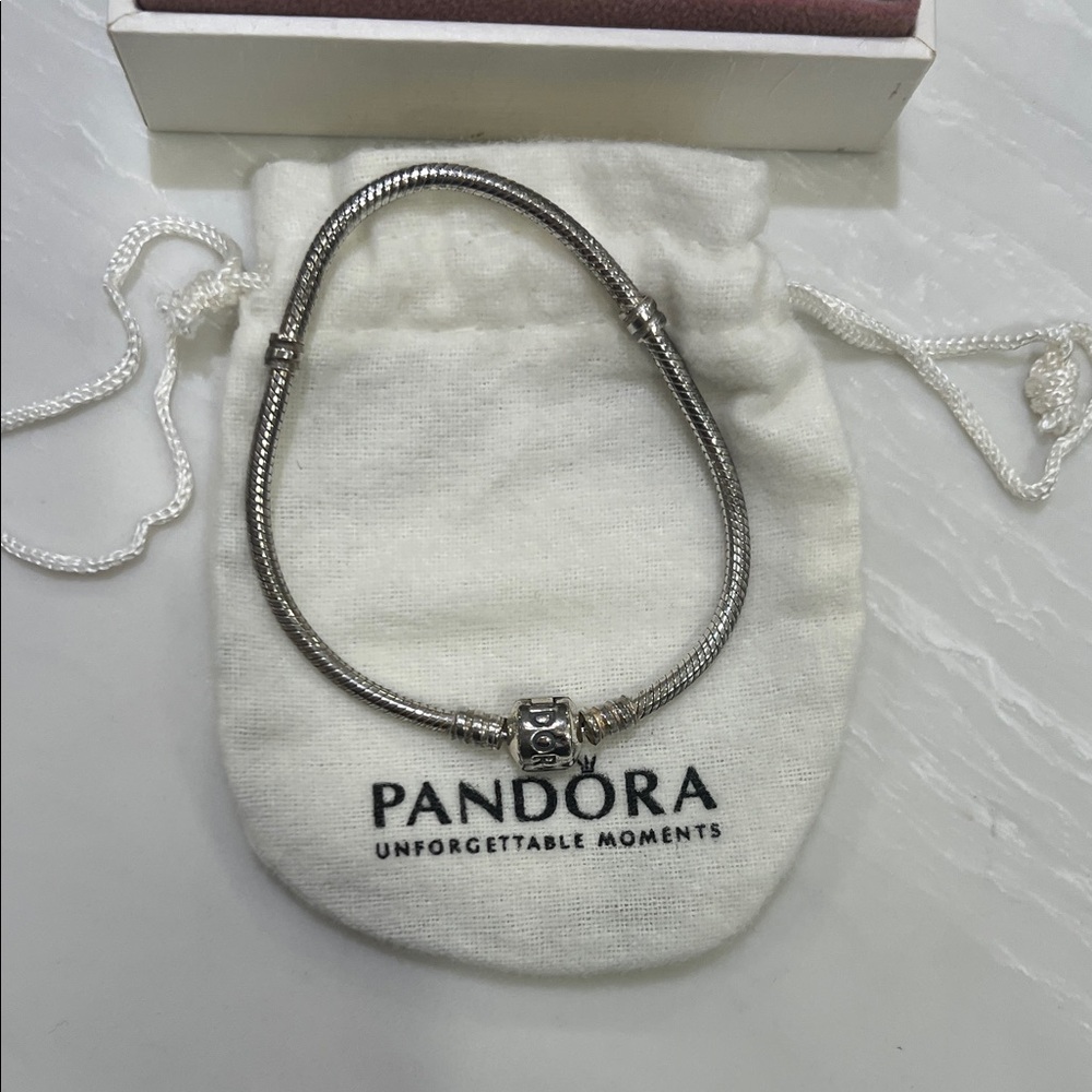 Pandora Silver Snake Chain Bracelet